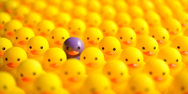 Concept image representing: standing out from the crowd, individuality, different, etc. Very shallow depth of field with focus on the eyes of the purple duck.