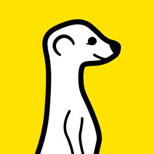What is Meerkat? Founder explains most-discussed app of SXSW | Mashable 