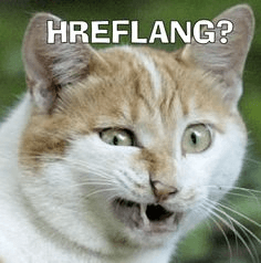 HREFLANG Cat meme