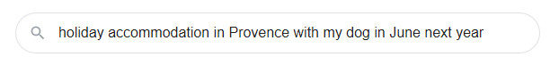 Google search query "holiday accommodation in Provence with my dog in June next year"