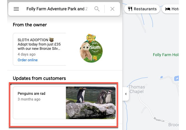 Spam content in Google Maps' "Updates from customers" feature