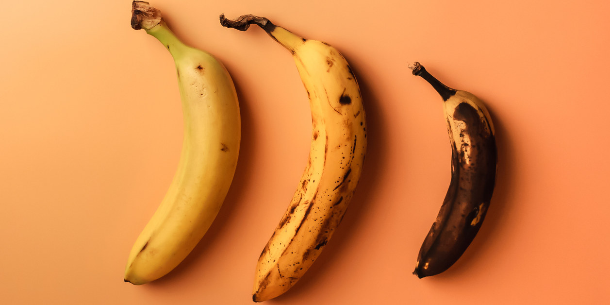Ugly fruit modification of three bananas from ripe to more spoiled brown with spots isolated. The concept of fruit is not salable for supermarkets. Horizontal orientation