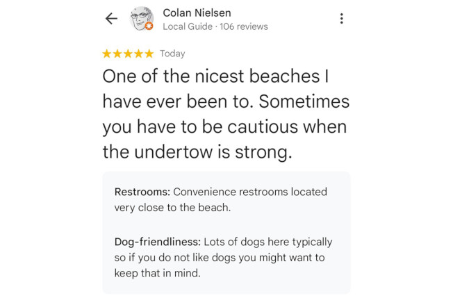 New "sub-topics" functionality on Google reviews